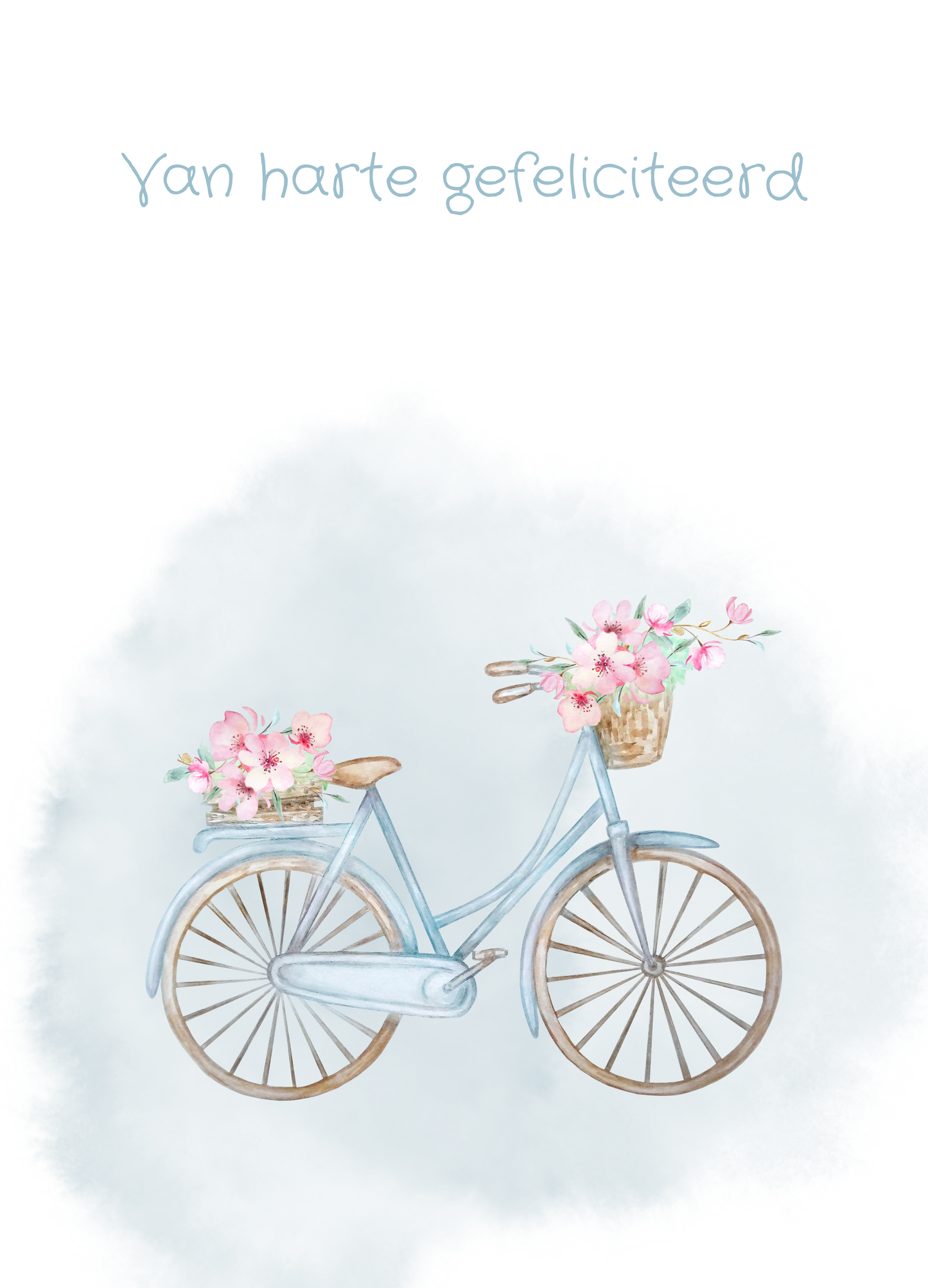 Verjaardag - fiets