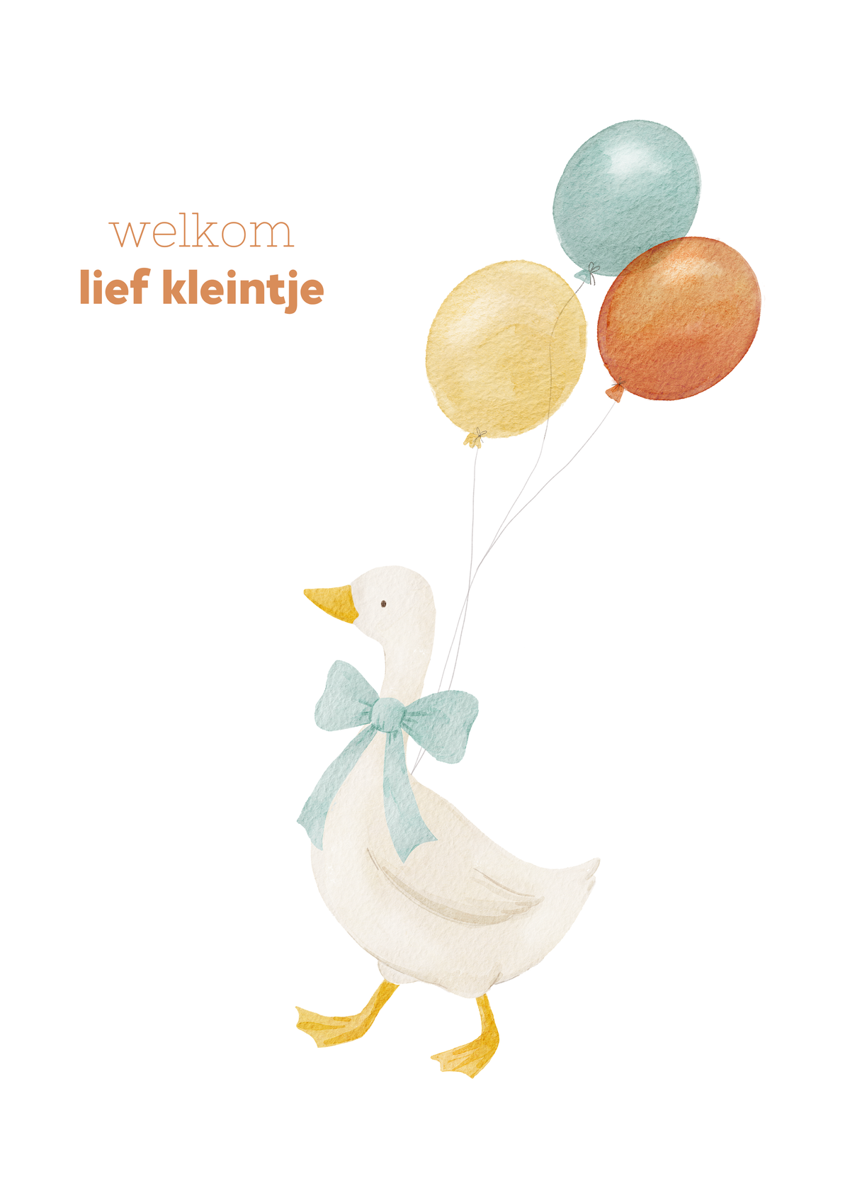 Geboorte - gans met ballonnen