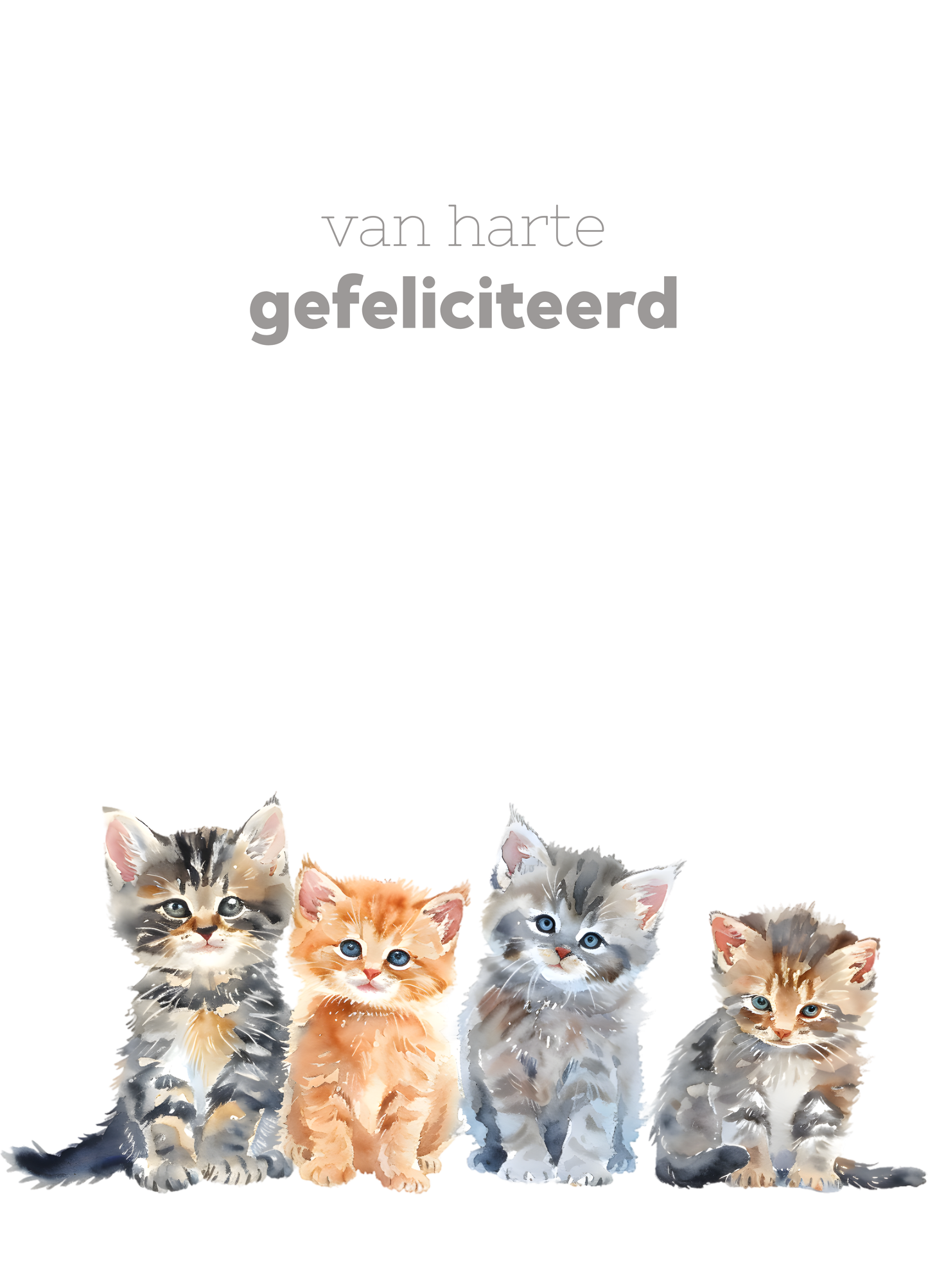 Verjaardag - poesjes