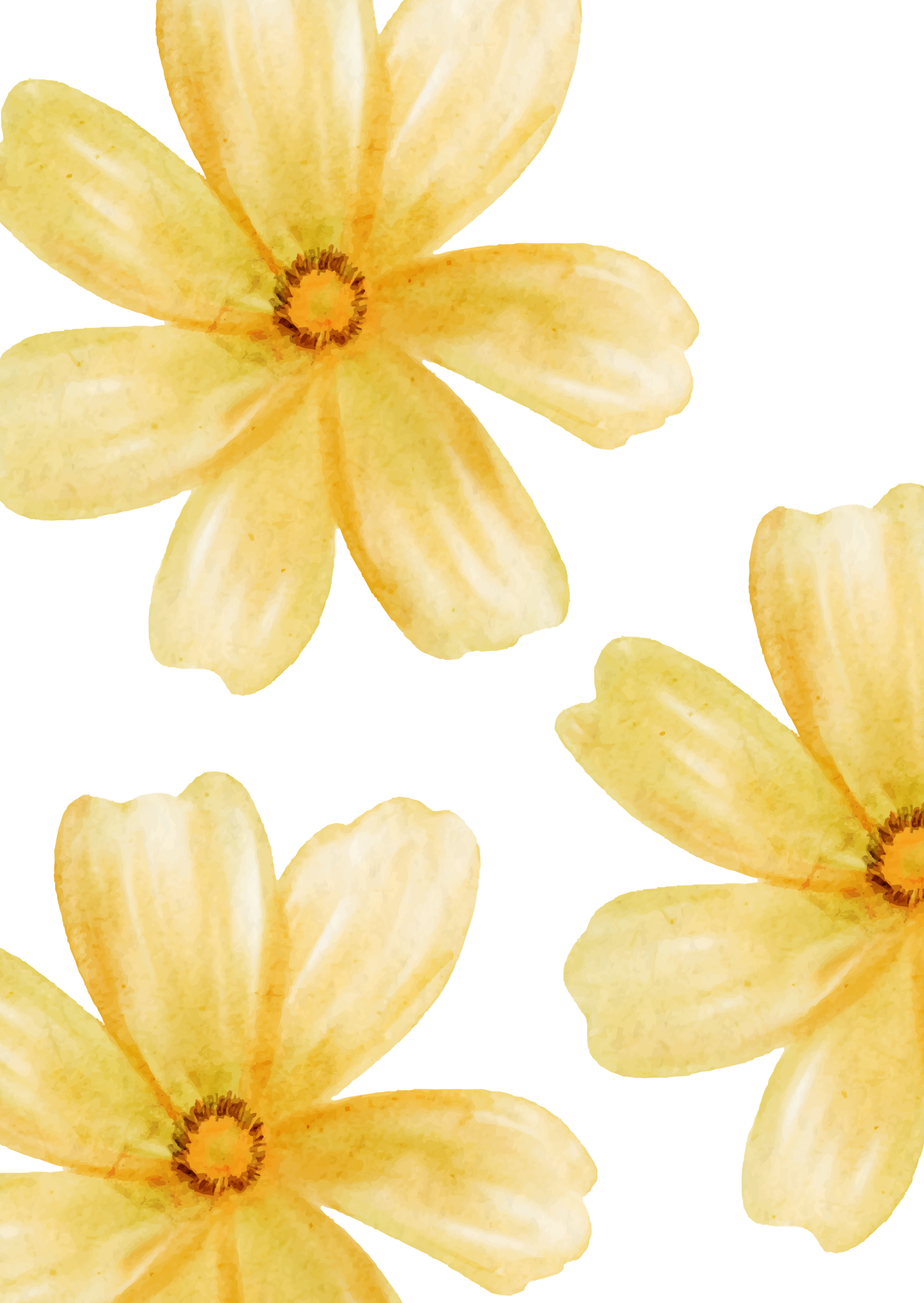 Blanco - bloemen