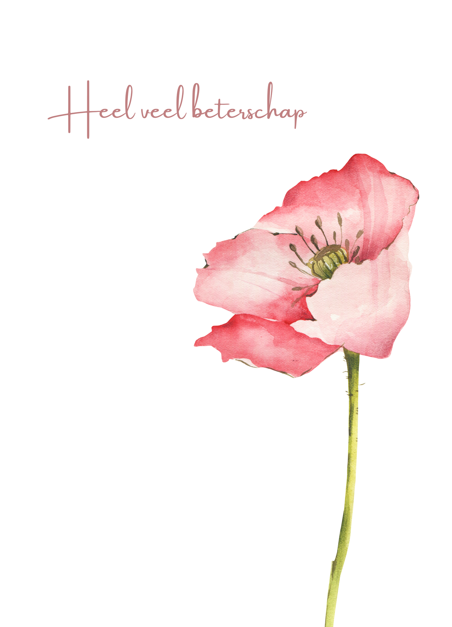 Beterschap - bloem