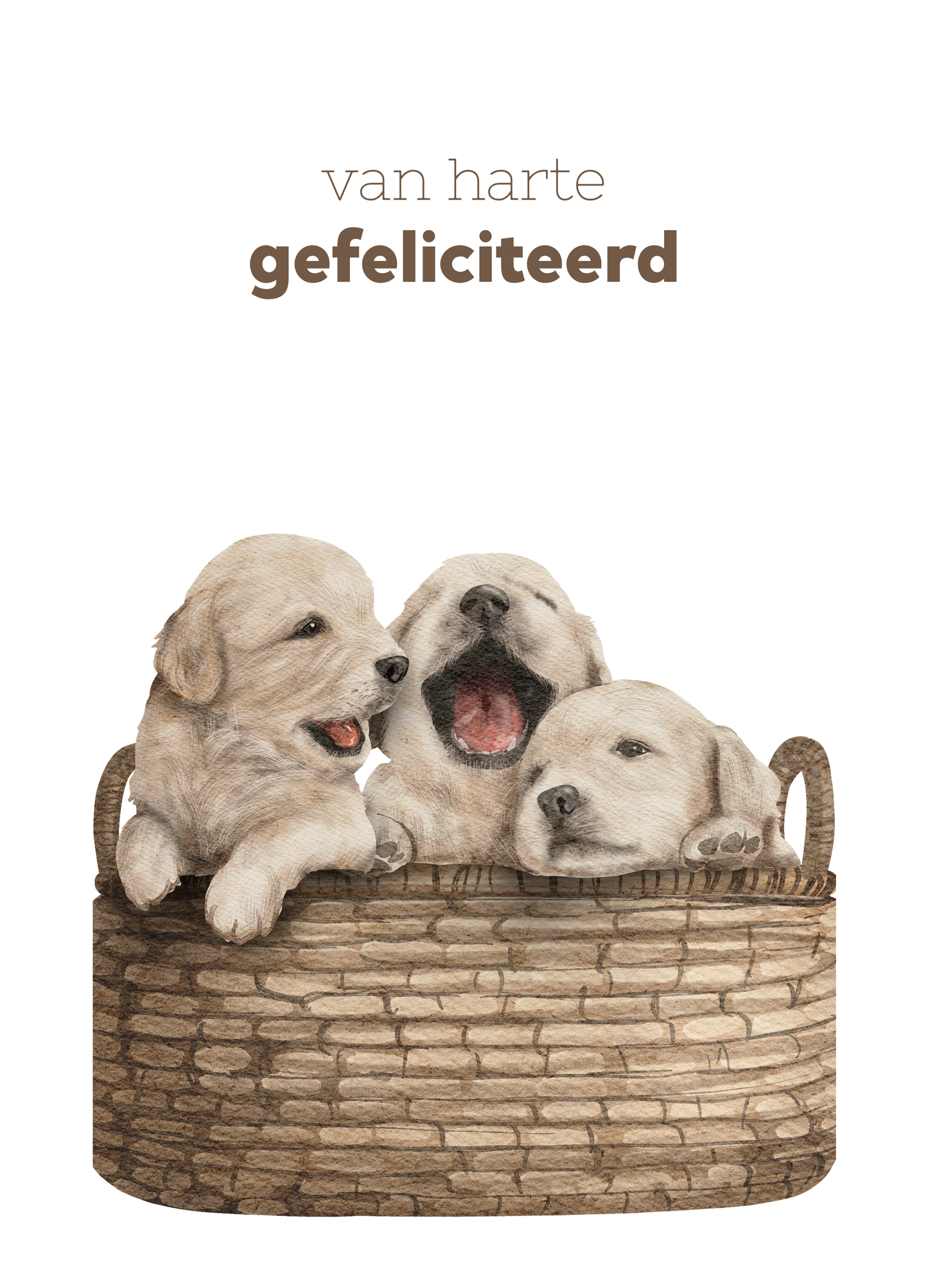 Verjaardag - hondjes