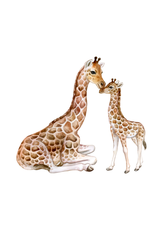Blanco - giraffen