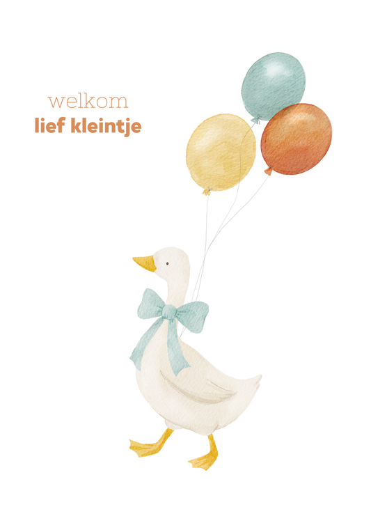 Geboorte - gans met ballonnen